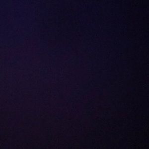 Meet your Posher, Lucy